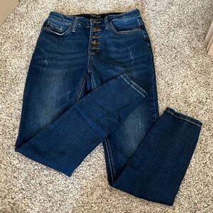 Judy Blue Skinny Jeans